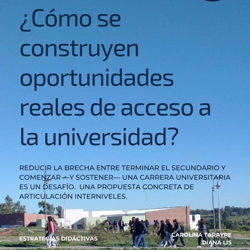 Estrategias pedagógicas para articular secundario y universidad