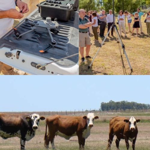 Vuelo inaugural de dron multiespectral para ganadería