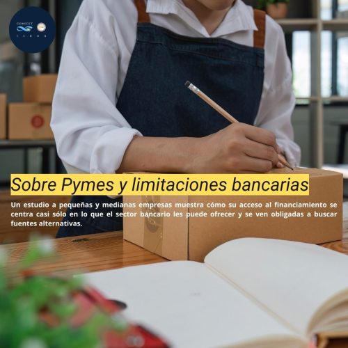 Pymes: limitaciones bancarias y financiamiento alternativo