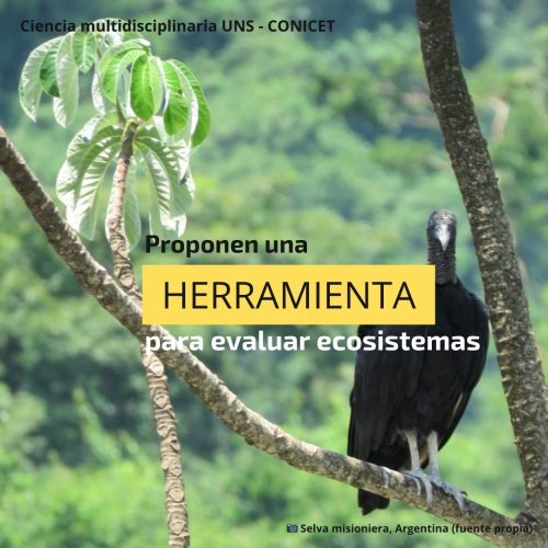 ¿Cuál es el «valor interior» de un ecosistema?